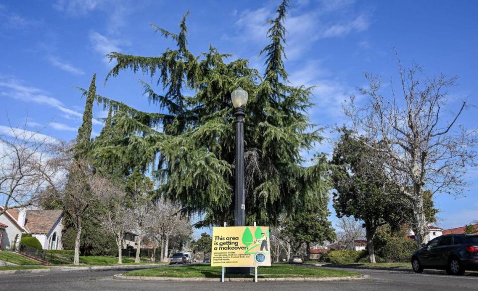 The deodar cedar trees in the median along Van Ness Boulevard south of Shields Avenue will be getting a trimming soon according to city officials who have placed signs along the route to notify neighbors.