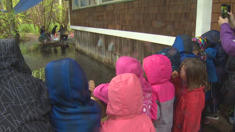 Students bid farewell to fish friends