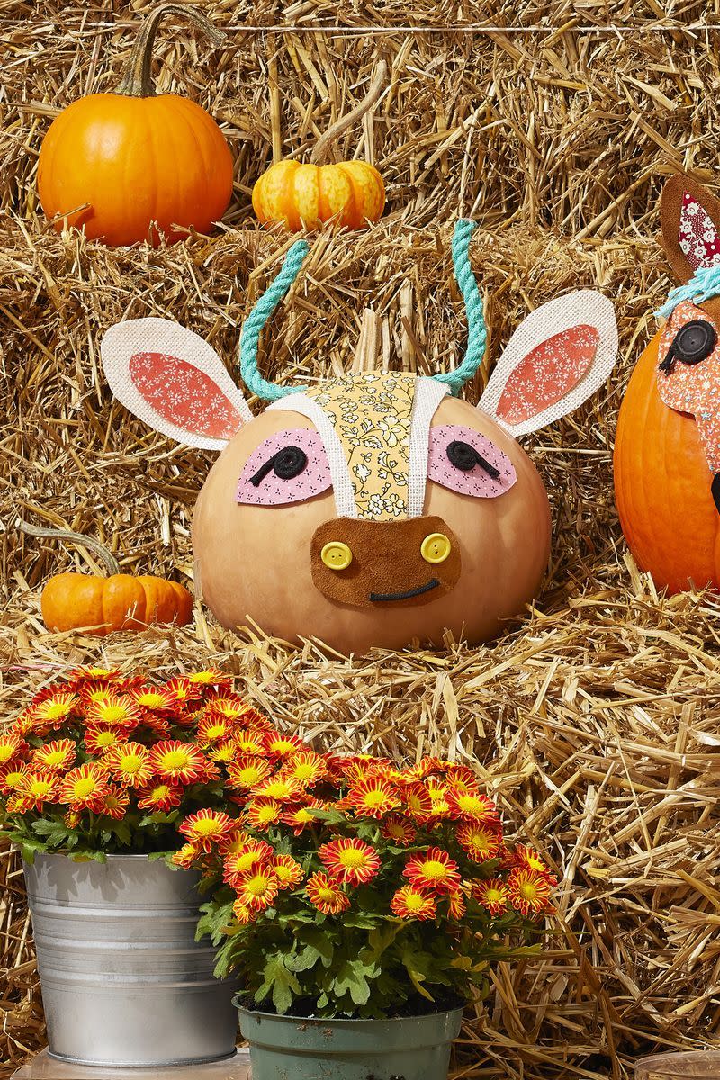 Pumpkin Cow Decoration