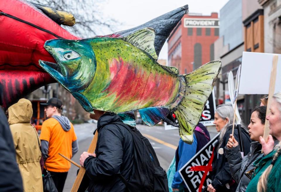 Phil Harty holds a sign resembling a salmon as he marches through downtown Tacoma to advocate for the removal of the Snake River dams in Tacoma, Wash., in March 2022.