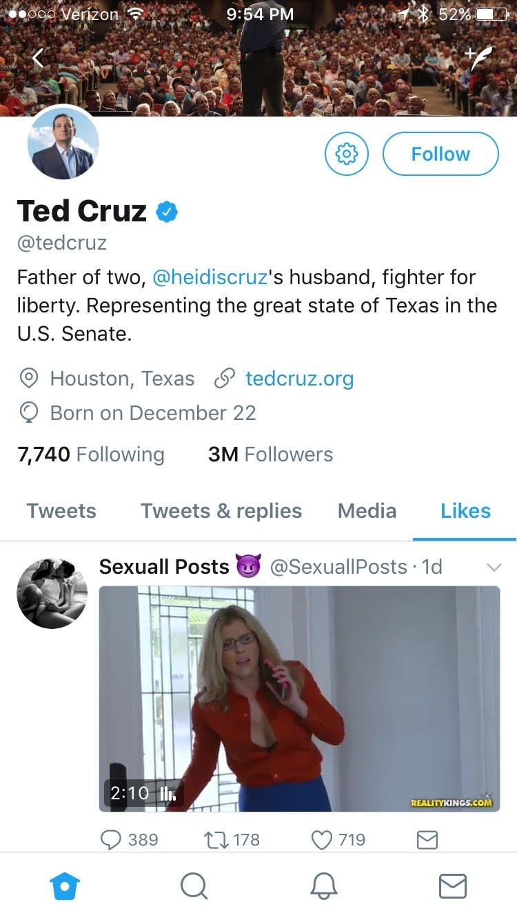 Ted's twitter likes on his page, the first one is a video from a porn account