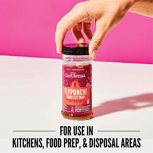 5) FlyPunch Non-Toxic Fruit Fly Trap