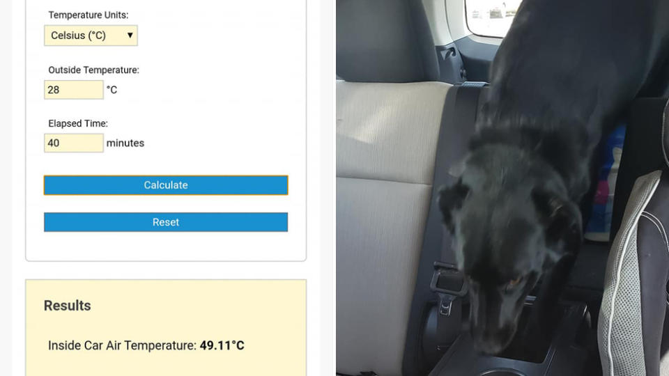 Sintich Kat shows the temperature at the time she spotted a dog locked in a hot car.