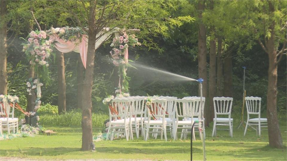 等不到解封！　婚宴會館線上賣龍蝦拚生存