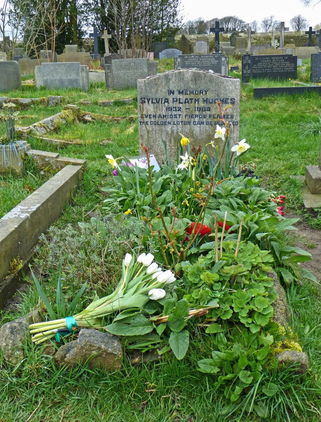 Sylvia Plath's Grave in the St. Thomas' Churchyard, Heptonstall, United Kingdom with a little garden, surrounded by grass and other headstones, on a sunny winter day with leafless trees in the distant background