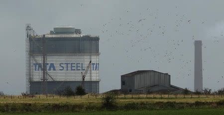Birds fly above part of the TATA steel plant in Scunthorpe northern England, October 15, 2014. REUTERS/Phil Noble/Files