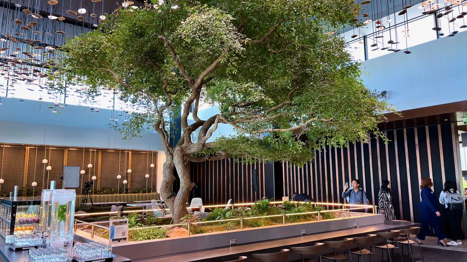 An olive tree in the Atlanta Centurion Lounge - Andrew Kunesh/CNN Underscored