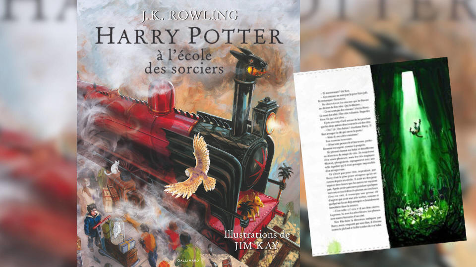 Pour la première fois, l’univers d’Harry Potter prenait vie en dessin à l’intérieur du livre.