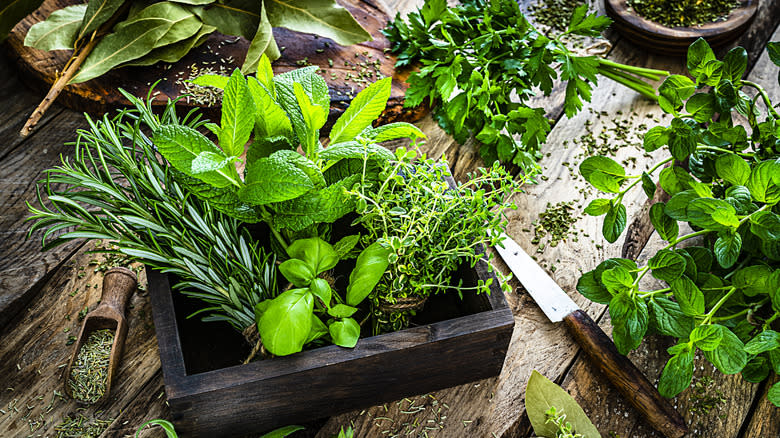 selection of fresh herbs