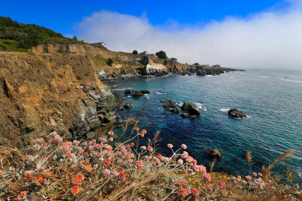 A view of the rugged coastline in Shelter Cove, the Lost Coast, in 2016.