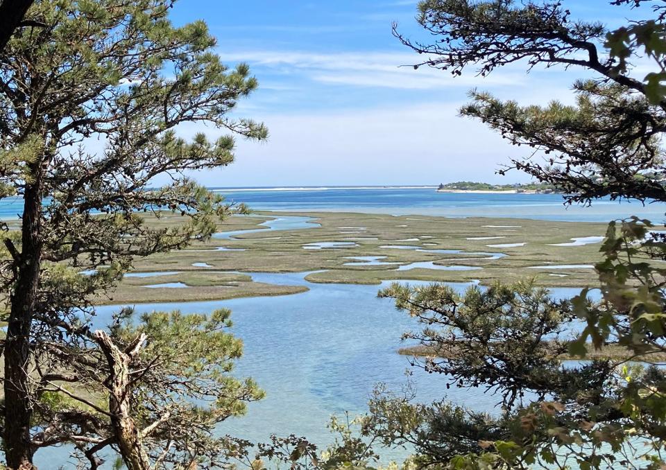 Looking over the marsh toward North Beach from Strong Island in Chatham. You'll need a kayak to visit.