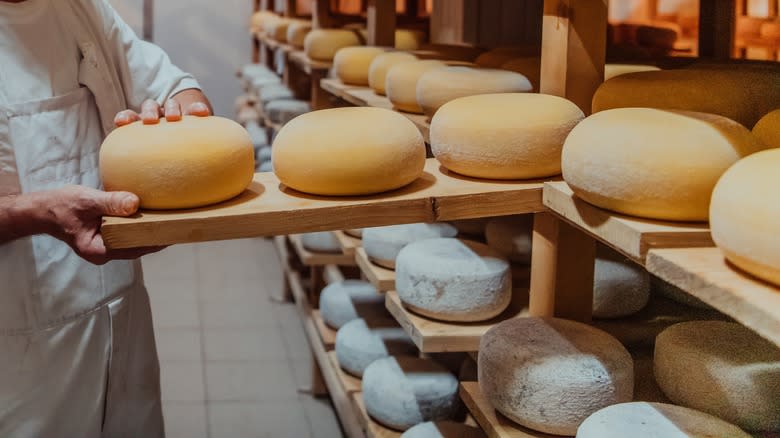 cheesemaker with wheels of cheese