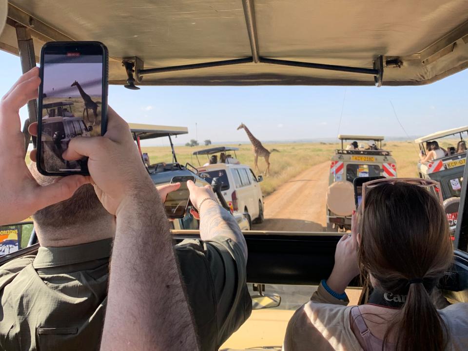 People in safari vehicles hold up phones to take pictures of a giraffe.