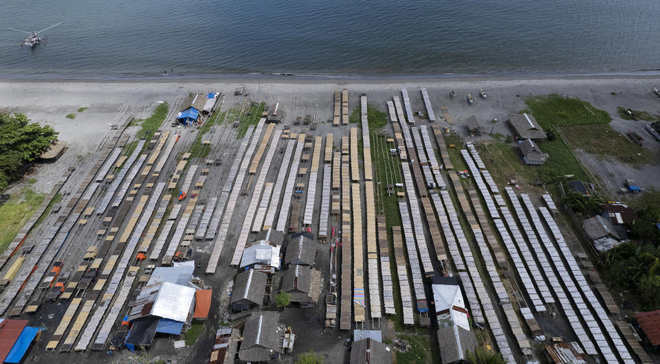 Fish are laid out to dry at a coastal village in Tacloban, Leyte, Philippines on Thursday, Oct. 27, 2022. (AP Photo/Aaron Favila)