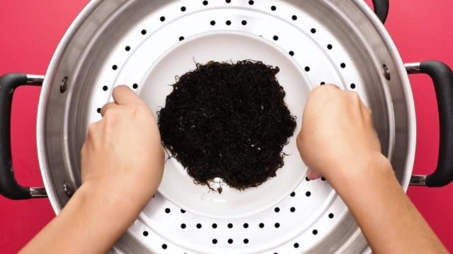 Placing plate of black moss into steamer