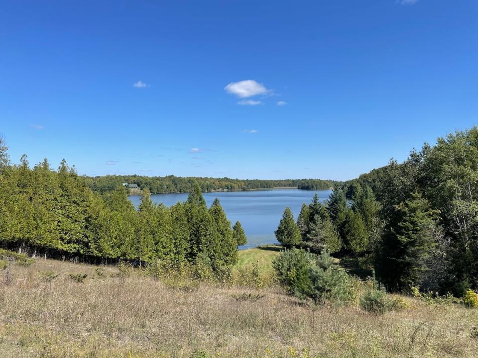 Residents say Barber's Lake is home to wildlife, including a threatened species of turtle. They fear any possible pollution from the pit would put wildlife at risk.