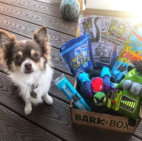 Save nearly 50 percent on BarkBox, today only! (Photo: Amazon)