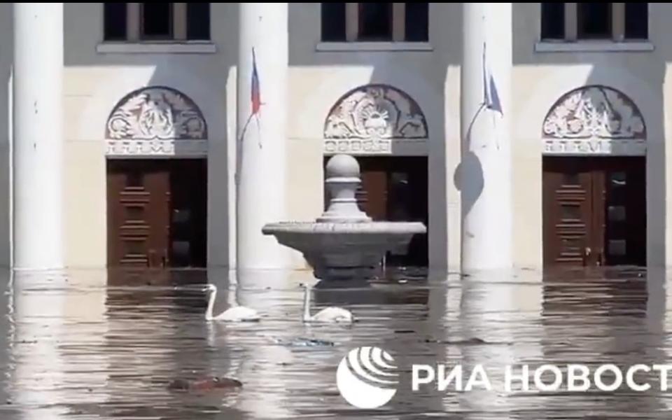 Swans are currently swimming around the administrative center in Nova Kakhovka