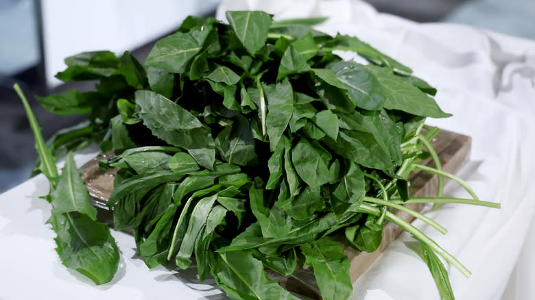 bunch of dandelion greens washed