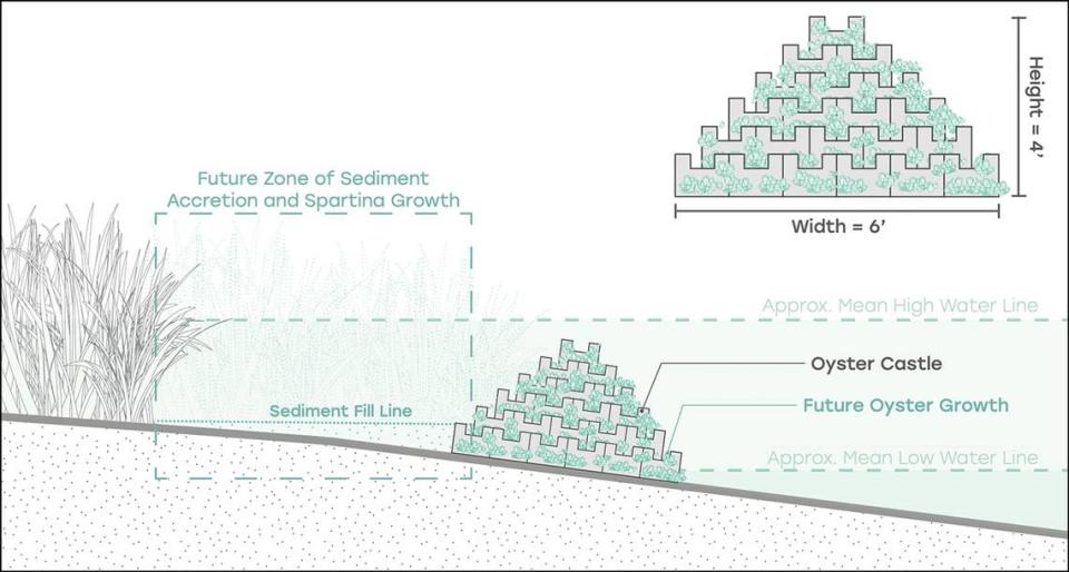 An illustration of how a living shoreline made of oyster castles will work near Marine Corps Air Station Beaufort. Partners of the 2,000-foot-long living shoreline said the project will be a model for future projects with the Department of Defense and other major coastal players