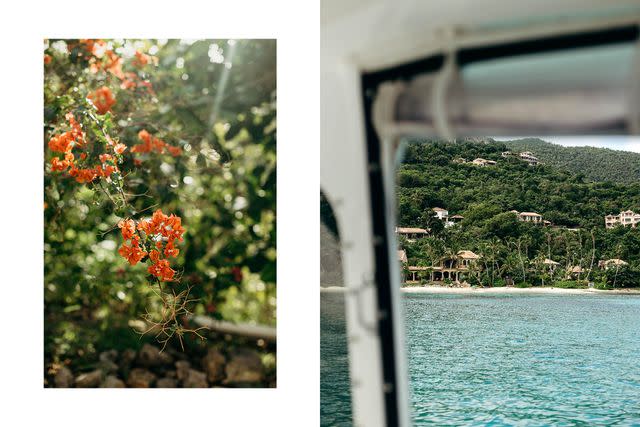 <p>Meredith Zimmerman</p> From left: Bougainvillea on St. John’s East End; a view of the shoreline from a Calypso Charters boat.