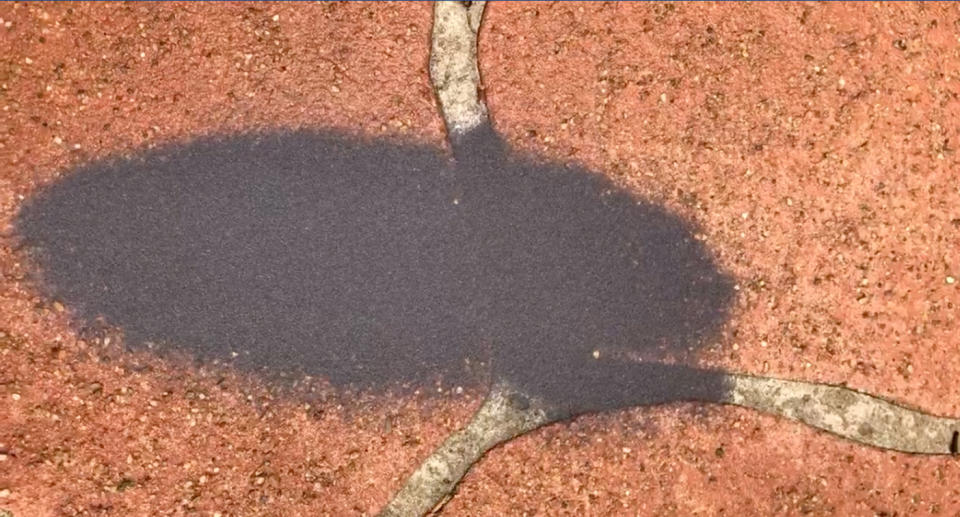 The footage shows a congregation of bugs on the driveway. Source: Facebook/ Lisa Graham