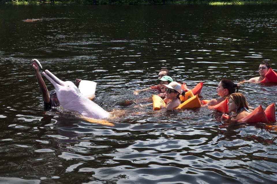 Doch will man den Traum in die Realität umsetzen, ist man mit den possierlichen Säugetieren in der Regel nicht allein im Wasser, sondern muss sich deren Aufmerksamkeit mit vielen weiteren Touristen teilen. (Bild-Copyright: Getty Images)