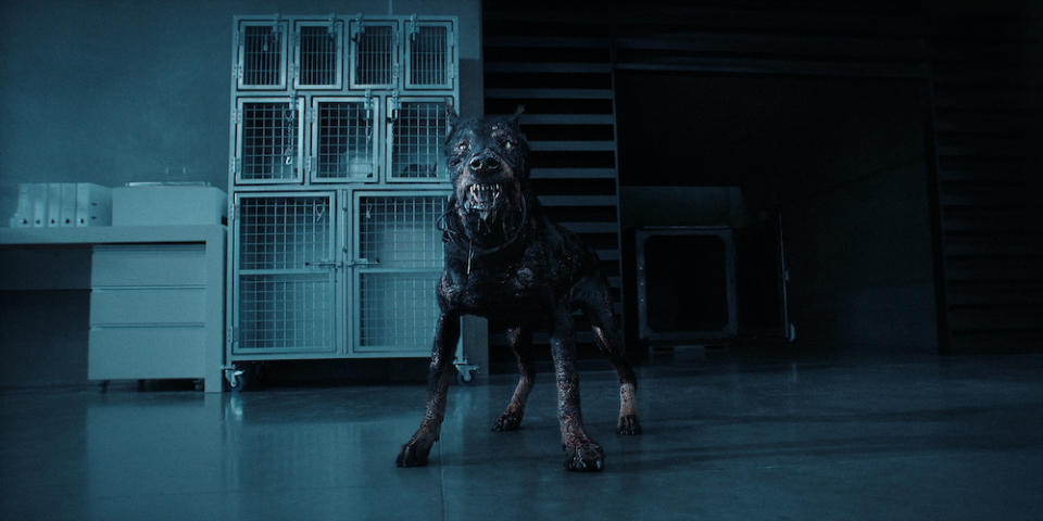 A zombie dog in “Resident Evil” - Credit: Courtesy of Netflix