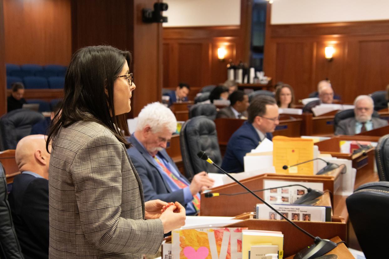 Rep. Jennie Armstrong testifies in opposition to the bill before it goes up for a vote on May 12.