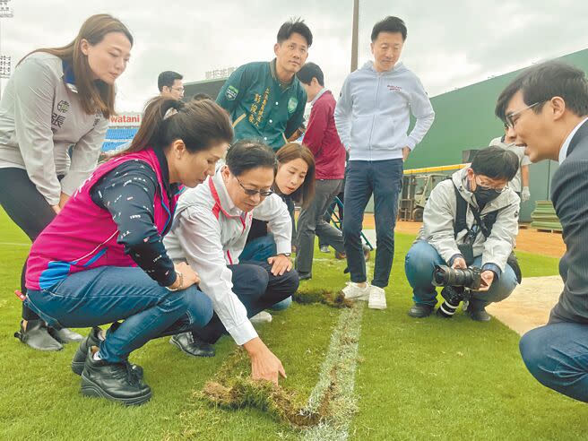 體育署與桃園市政府、樂天球團達成修繕樂天桃園球場共識，將改善排水系統、夜間照明及外野看台，桃園市長張善政（前排左二）13日前往視察草皮移植作業，力求新球季讓球員與球迷擁有完善的球場環境。（呂筱蟬攝）