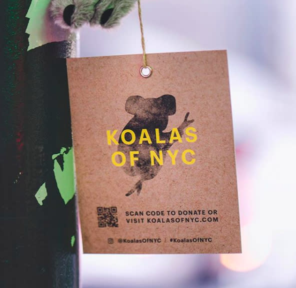 Fuente: @koalasofnyc