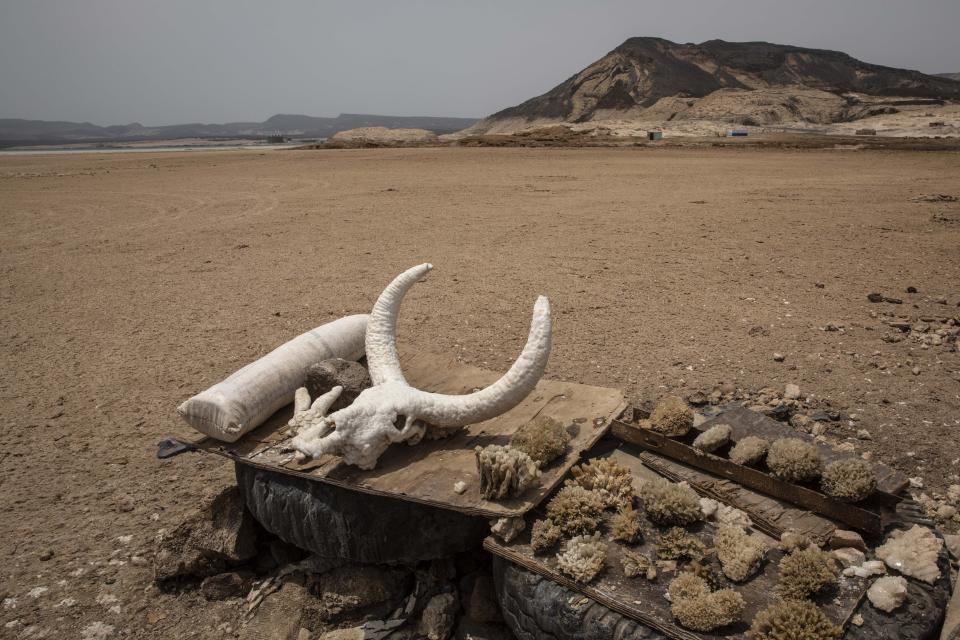 This July 14, 2019 photo shows a bull skull made out of salt for sale at Lac Assal, where African migrants cross to continue their journey on foot, in Djibouti. The number of girls had an enormous increase, quadrupling from 2,075 to 8,360 in one year. Despite the many risks of smugglers' exploitation, rape, hunger, drowning – they are undaunted. (AP Photo/Nariman El-Mofty)