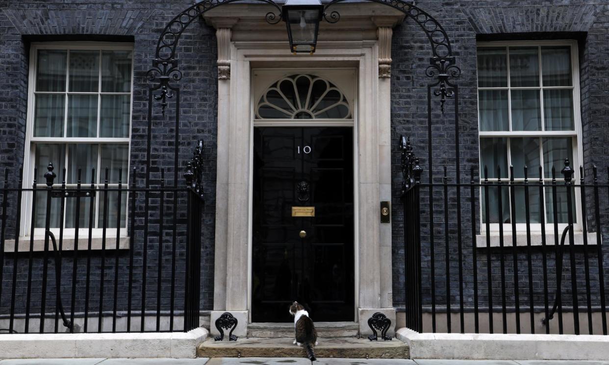 <span>Larry, the Downing Street cat. Whoever shares No 10 with him after 4 July will have one of the most challenging inboxes of any UK prime minister.</span><span>Photograph: Andy Rain/EPA</span>