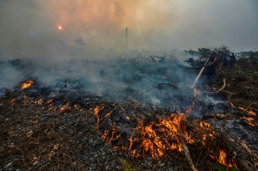 Indonesian forest fires are an annual problem during the dry season but this year's are the worst since 2015, when the region was choked by toxic smoke for weeks