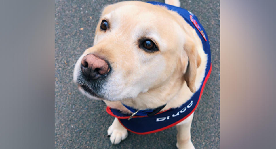 Bruce will visit Ambulance Victoria staff and paramedics as part of a pilot program to improve mental health and wellbeing in their workforce. Source: @AmbulanceVic/ Twitter