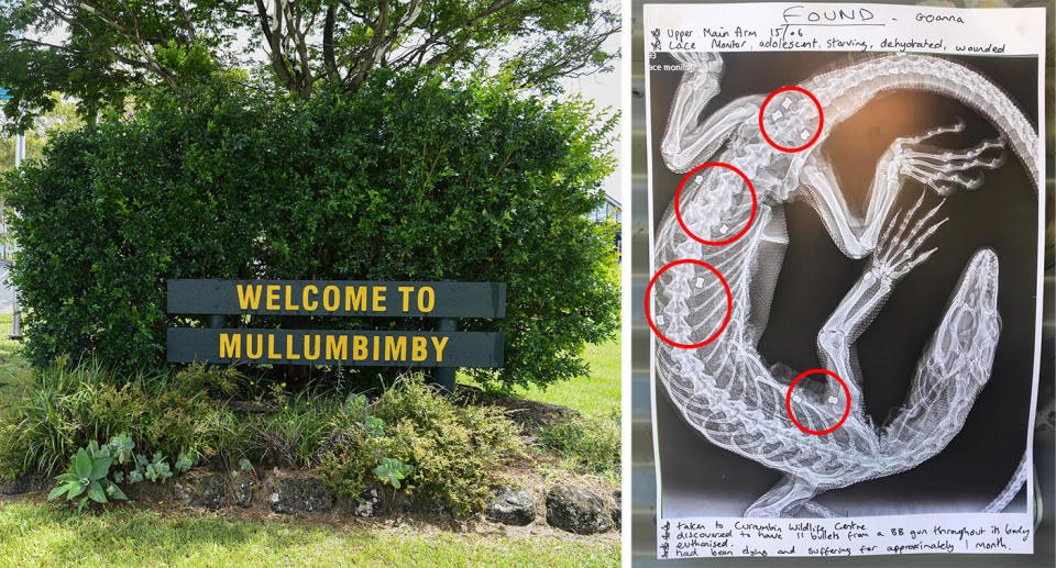 Welcome to Mullumbimby sign, goanna X-ray