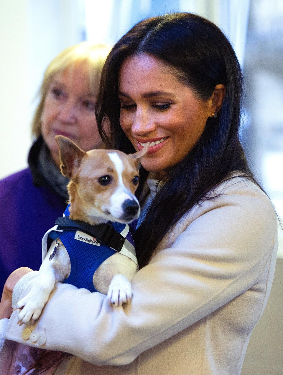 Meghan Markle kicked off the new year by <a rel="nofollow noopener" href="https://people.com/royals/meghan-markle-announced-royal-patronages/" target="_blank" data-ylk="slk:announcing her four initial patronages;elm:context_link;itc:0;sec:content-canvas" class="link ">announcing her four initial patronages</a> and paying visits to them all. During a stop at animal charity <a rel="nofollow noopener" href="https://people.com/royals/meghan-markle-visit-patronage-mayhew/" target="_blank" data-ylk="slk:Mayhew;elm:context_link;itc:0;sec:content-canvas" class="link ">Mayhew</a>, a cute little dog named Minnie stol her heart. 