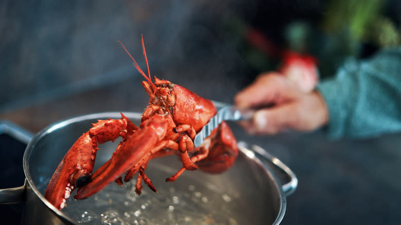 Lobster being boiled 
