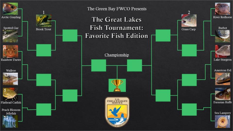 The staff at the U.S. Fish and Wildlife Service Green Bay conservation office has started a fish-themed "March Madness" competition. It seeks to raise awareness of Great Lakes fish species and asks the public to vote for their favorites in daily Facebook posts.