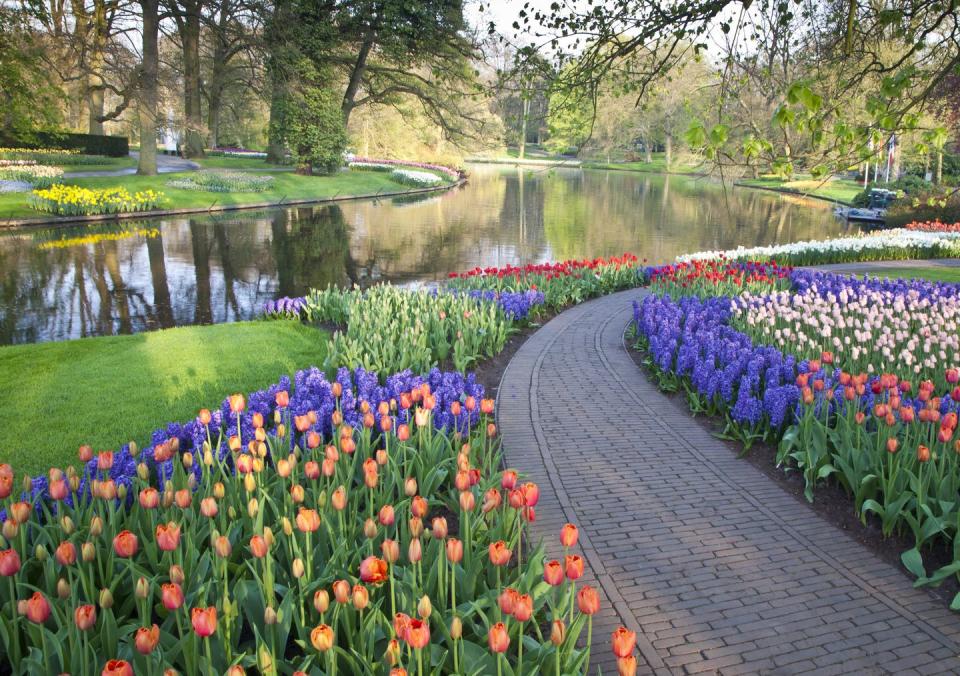 a pond with flowers and trees around it with keukenhof in the background