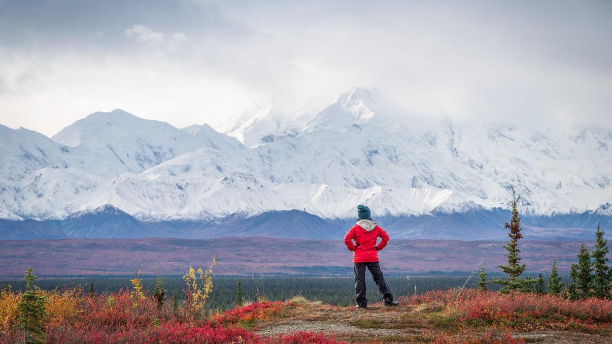 Hiker at mountain top with direct view of the Denali Mountain.