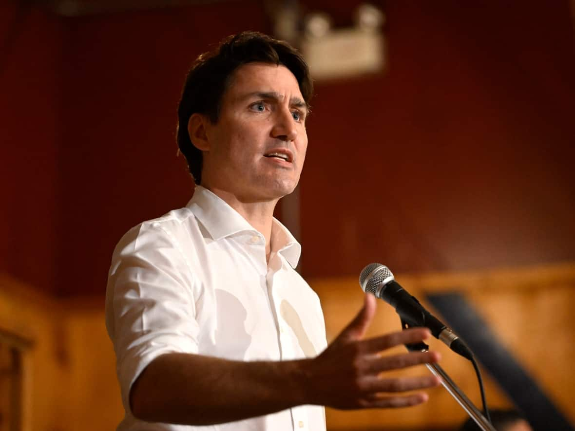 Prime Minister Justin Trudeau said the U.S. Supreme Court's decision to overturn laws protecting the right to an abortion were 