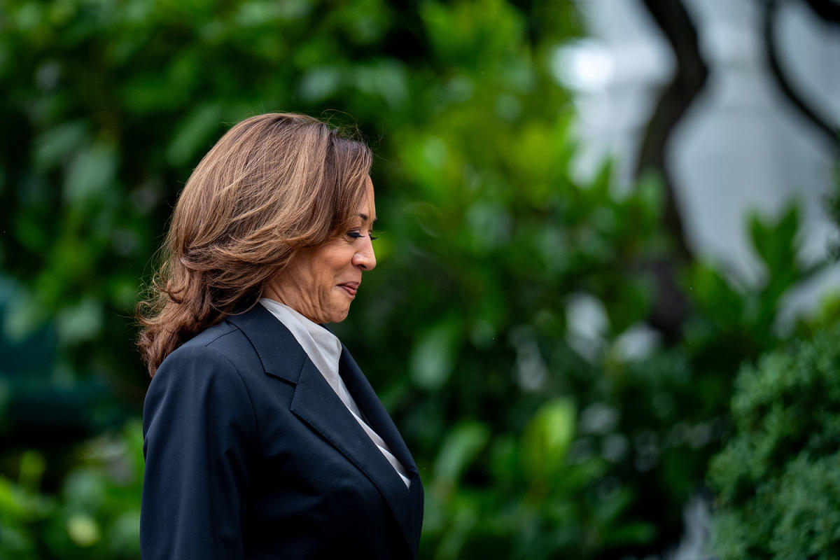 The internet has entered its Kamala Harris ‘coconut tree’ era