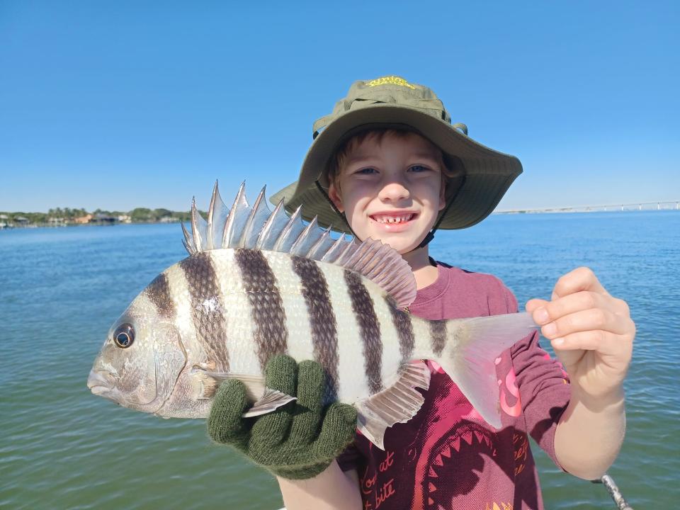 Sheepshead like this one caught Jan. 16, 2022 aboard Nightstalker Charters in Jensen Beach with Capt. Jim Walden tend to bite better when the weather gets cool.