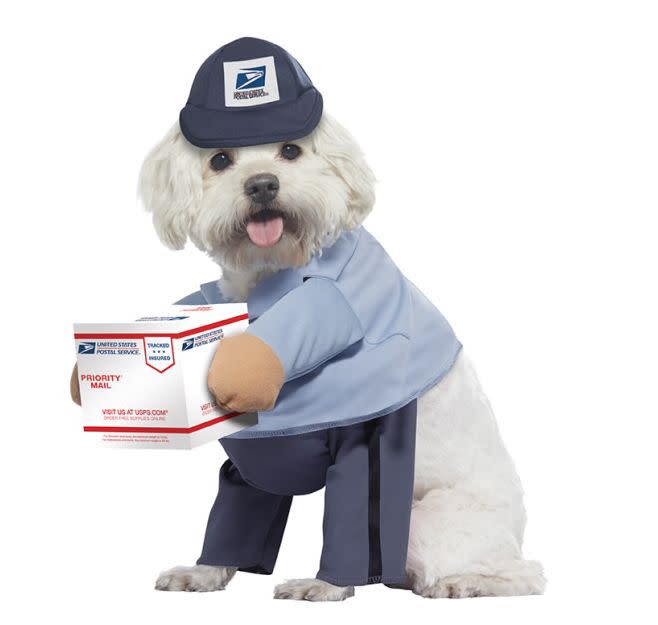 Get this <a href="https://fave.co/3iYNVHW" target="_blank" rel="noopener noreferrer">U.S. Mail Carrier Dog Costume for $18</a> at USPS. It's available in sizes medium and large, and the box is attached via Velcro.