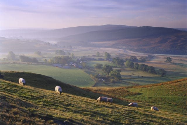 Great Britain, England, Northumberland,  an area of Northumberland national park, called Alwinton, landscape is deserted apart f