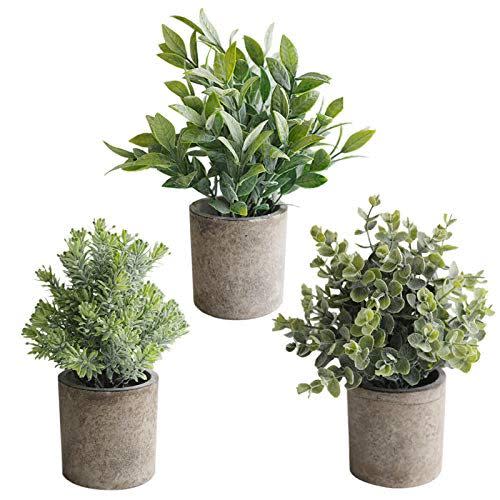 3) Cement Planters with Ferns