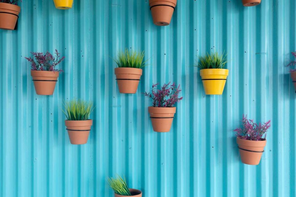 The outside of Casa Azul is carefully lined with plants in Fort Worth, Texas, on Tuesday, June 28, 2022.