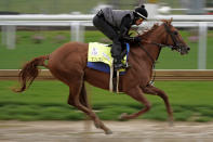 FILE - Kentucky Derby entrant Taiba works out at Churchill Downs, May 3, 2022, in Louisville, Ky. Taiba is the 8-1 choice in the Breeders' Cup Classic horse race Saturday, Nov. 5, 2022, for embattled Hall of Fame trainer Bob Baffert, who makes his Kentucky return after serving a suspension this spring. (AP Photo/Charlie Riedel, File)