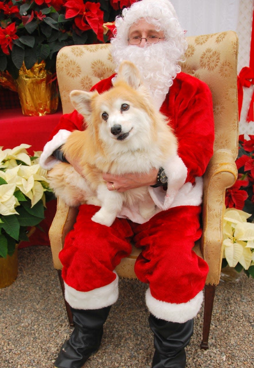 Have your pooch or other fur baby pose with Santa, like this pup did at Agway of Cape Cod one year.